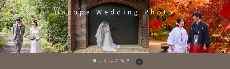 ウェディングプランはこちら