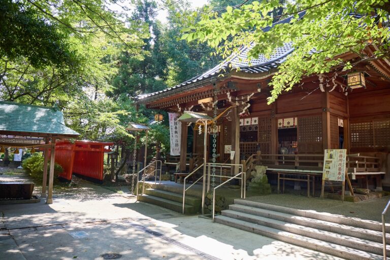 s-blob-v1-IMAGE-YnNpY8F59WM